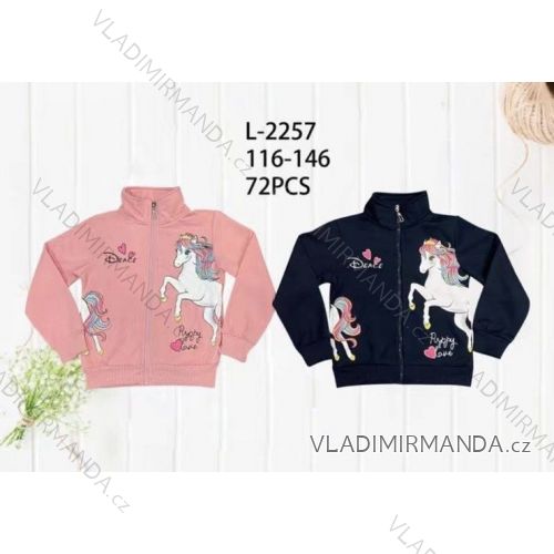 Warmes Kinder-Sweatshirt für Jungen (116-146) SEZON SEZ21H-3031