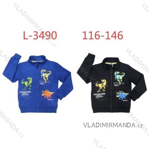 Warmes Kinder-Sweatshirt für Jungen (116-146) SEZON SEZ21H-3031