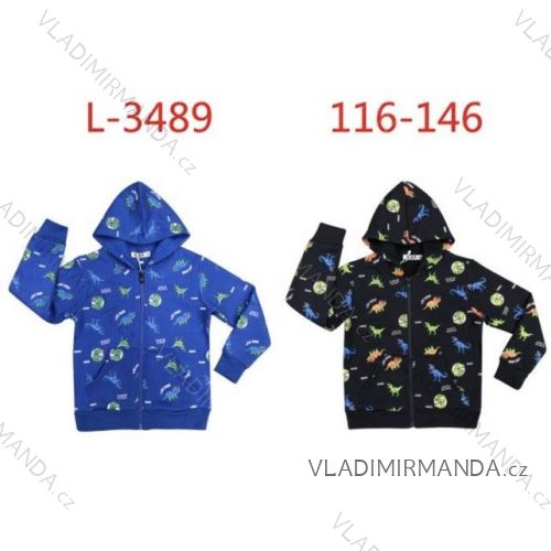 Warmes Kinder-Sweatshirt für Jungen (116-146) SEZON SEZ21H-3031