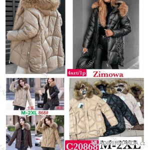 Damen-Kapuzenjacke (S-2XL) POLISH FASHION PMWC23C208086