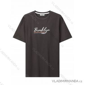 T-Shirt Kurzarm Herren (M-2XL) GLO-STORY GLO24MPO-3508