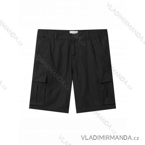 Herrenshorts in Übergröße (3XL-6XL) GLO-STORY GLO24MK-4393-1