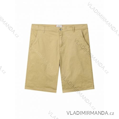 Herren-Shorts in Übergröße (3XL-6XL) GLO-STORY GLO24MMK-4399-4