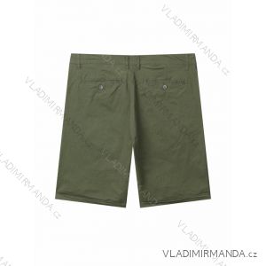 Herren-Shorts in Übergröße (3XL-6XL) GLO-STORY GLO24MMK-4399-3