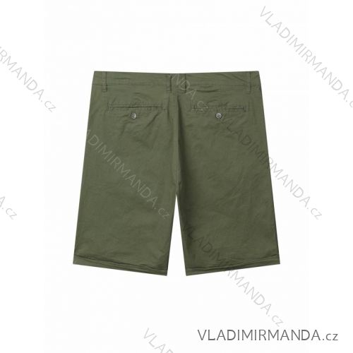 Herren-Shorts in Übergröße (3XL-6XL) GLO-STORY GLO24MMK-4399-3