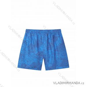 Herren-Shorts in Übergröße (3XL-6XL) GLO-STORY GLO24MTK-4469