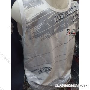 Herren-Tanktop aus Baumwolle (L-2XL) REDWAY TME243420