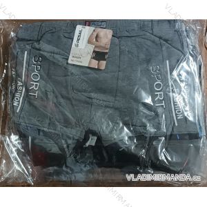 Herren-Boxershorts (L-3XL) PESAIL PES24t0243