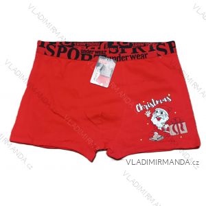 Herren Boxershorts (L-2XL) POLISH FASHION DPP24WD304