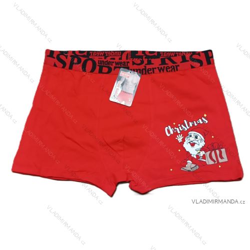 Herren Boxershorts (L-2XL) POLISH FASHION DPP24WD304