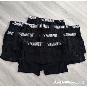 Herren Boxershorts Baumwolle (L-3XL) FANNIFEN  PES22G55450-K