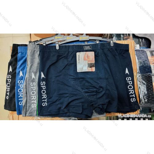 Herren-Boxershorts aus Baumwolle (L-3XL) PESAIL GRE24T02780