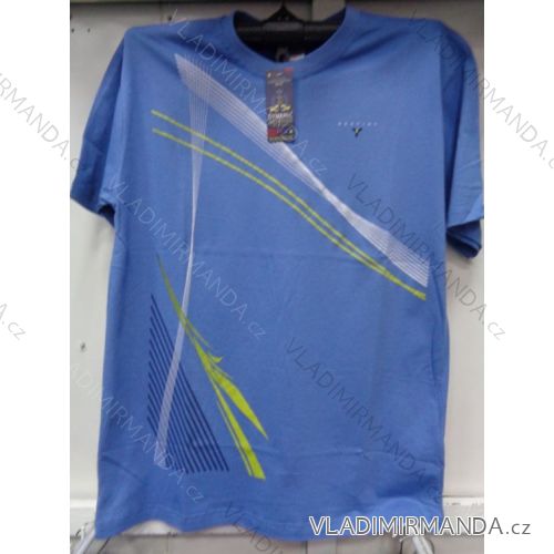 T-Shirt Kurzarm (m-2xl) DYNAMIC TM5762
