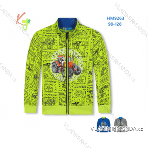 Sweatshirt Baumwolle Jugend Jungen (98-128) KUGO HM9263