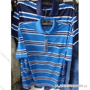 Polo-Shirt, kurze Ärmel, übergroße Herren (3xl-6xl) ALNWICK KP82101
