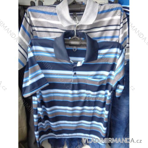 Poloshirt Kurzarm Baumwolle (m-2xl) HENXING HX819 / 2
