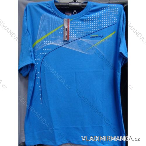 T-Shirt Kurzarm Herren (m-2xl) DYNAMIC OBS18008
