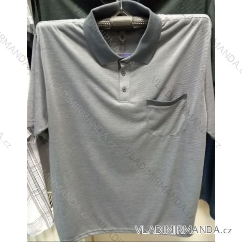 Herren Poloshirt Kurzarm Übergröße (1-4xl) BATY BAT19PNAM-XUOC-BE
