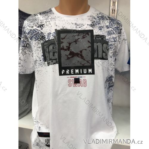 Herren Kurzarm T-Shirt (m-2xl) DYNAMIC OBS19049
