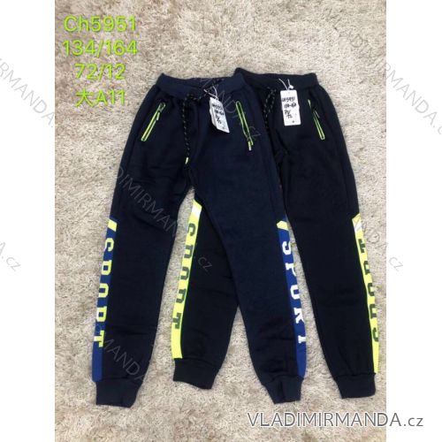 Jogginghose für Jungen (134-164) SAD SAD19CH5951
