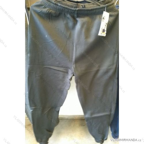 Herren Jogginghose Übergröße (1-3xl) FREE MODE ZA8203
