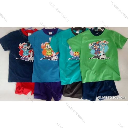 Pyjama Kinder Jungen Baumwolle 98-128) COANDIN S1417
