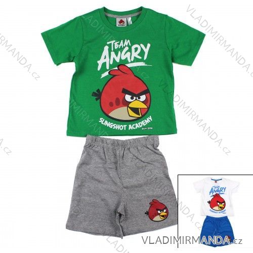 Set wütende Sommervögel für Kinder (2a-6a) TK'S FLB 2511
