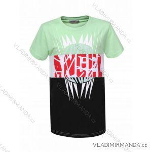 Kurzarm-T-Shirt für Jungen (134-164) GLO-STORY GLO20BPO-0209