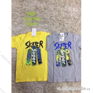 T-Shirt Kurzarm Teen Boys (134-164) SAD SAD20B09
