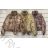 Jacke Winterjacke mit Kapuze und Fell Damen Übergröße (46-54) POLISH FASHION BLI19YP-18057-12