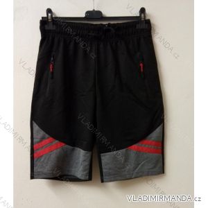 Herrenshorts (L-3XL) QIFENG A2253