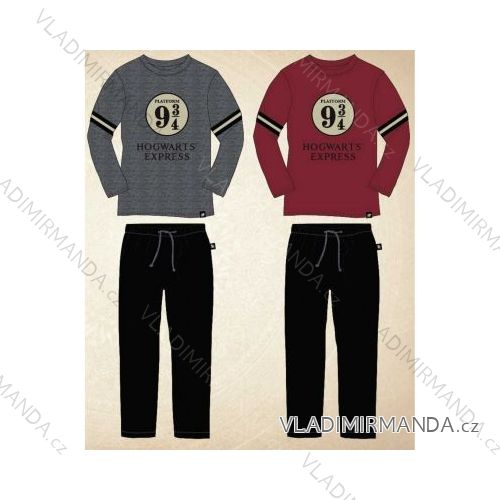 Pyjamas langer harry potter Jungen (134-164) SETINO 833-436