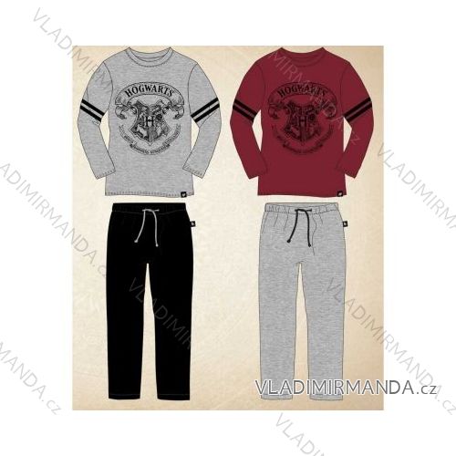 Pyjamas langer harry potter Jungen (134-164) SETINO 833-437