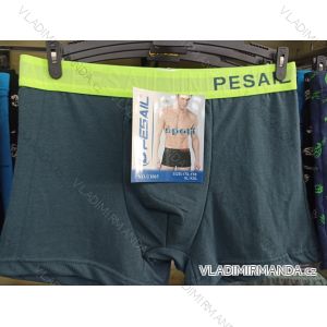 Boxershorts Herren (M-2XL) Pesail PES19403A