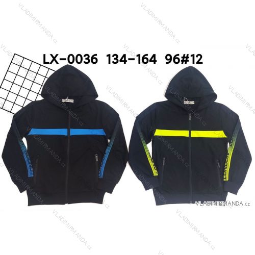 Hoodie mit Reißverschluss Jugend Junge (134-164) ACTIVE SPORT ACT22LX-0036