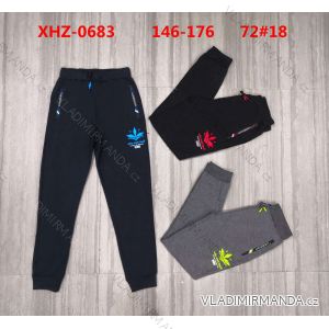 Lange Jogginghose für Jungen (146-176) ACTIVE SPORT ACT22XHZ-0683