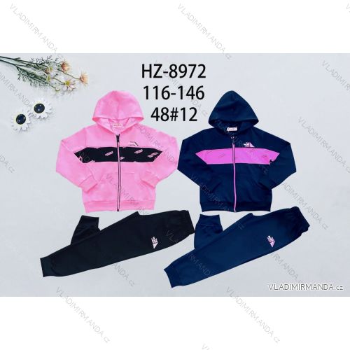 Set aus Kapuzen-Sweatshirt mit Reißverschluss und Jogginghose Kinder Teen Mädchen (116-146) ACTIVE SPORT ACT218P-7473