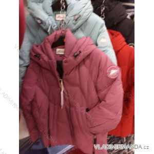 Winterjacke mit Kapuze für Damen (M-2XL) POLISH FASHION HKW22D120189