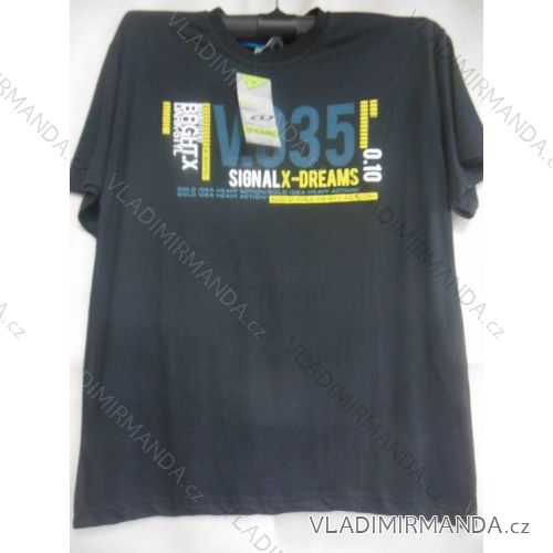 T-Shirt Kurzarm Herren Baumwolle (m-2xl) OBSESS TR6
