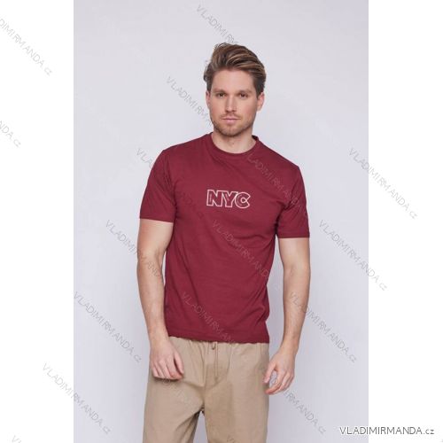 T-Shirt Kurzarm Herren (S-2XL) GLO-STORY GLO23MPO-P8207