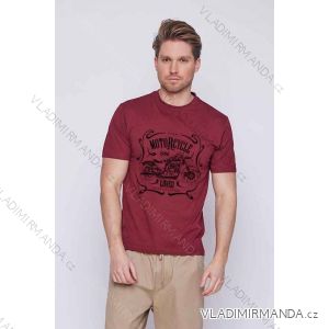 T-Shirt Kurzarm Herren (S-2XL) GLO-STORY GLO23MPO-P8567