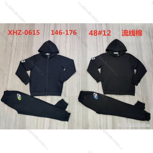 Jungen-Set aus Kapuzen-Sweatshirt mit Reißverschluss und Jogginghose (146-176) ACTIVE SPORT ACT22XHZ-0691